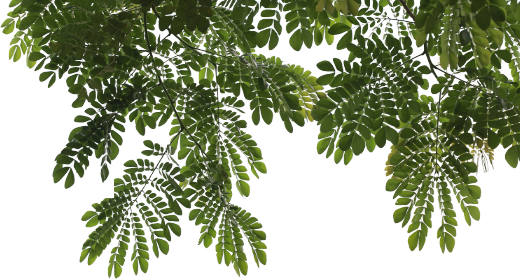 Garden landscaping Essex