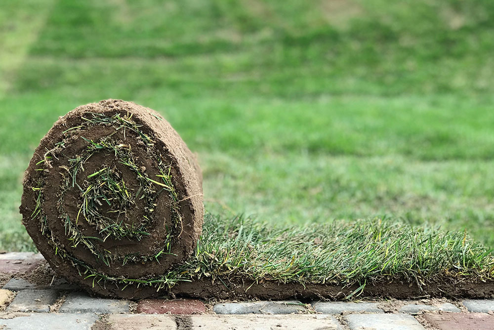 Global Landscaping & Drives Gallery