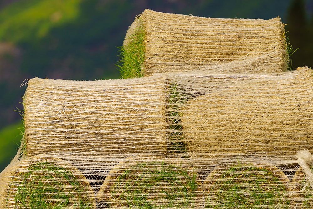 Global Landscaping & Drives Gallery